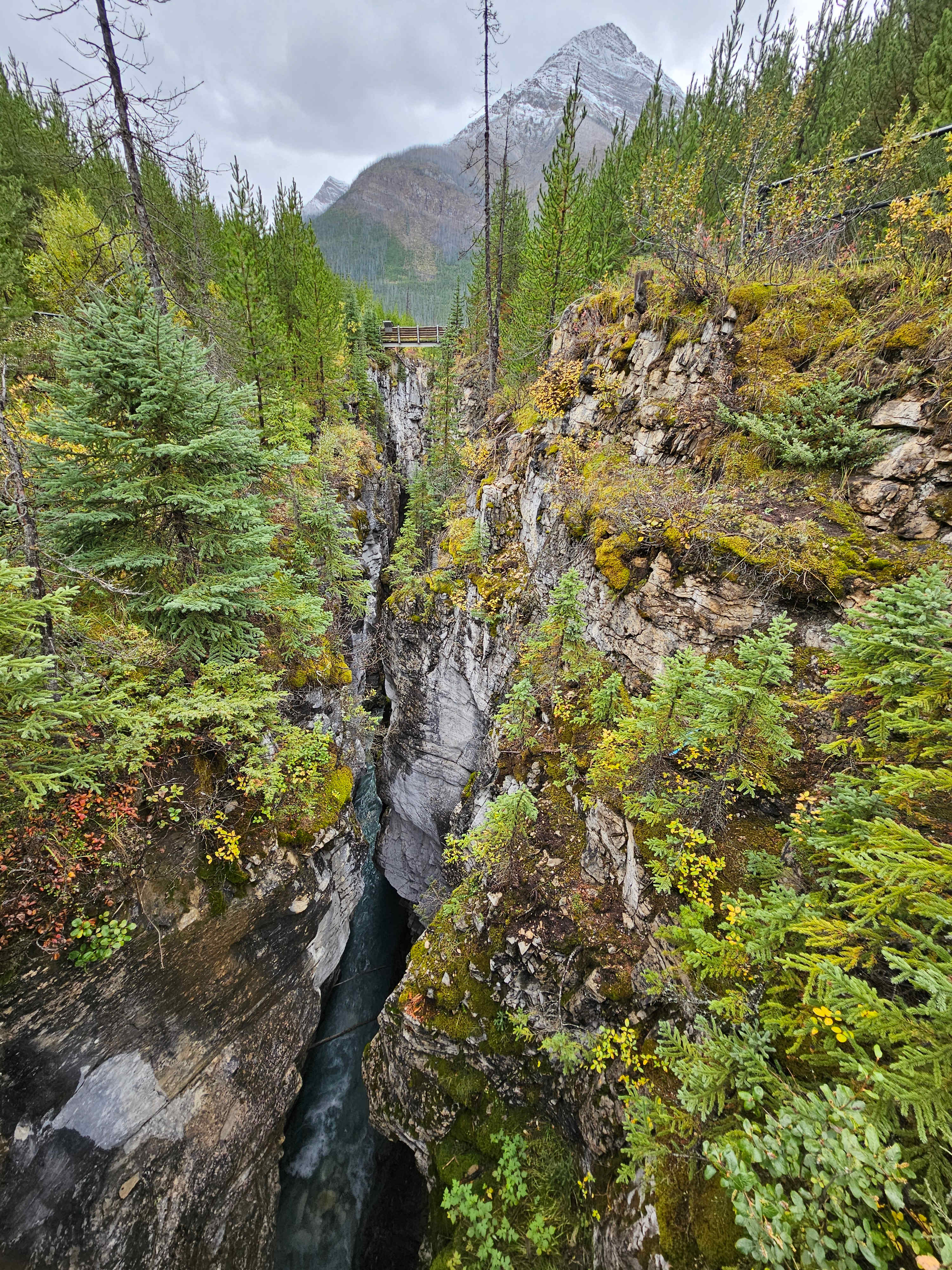 Rocky Mountains